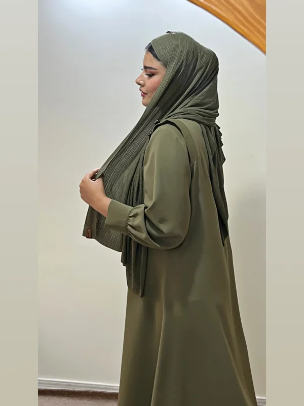 عبا اسما(رنگ بندی)